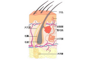 腋臭